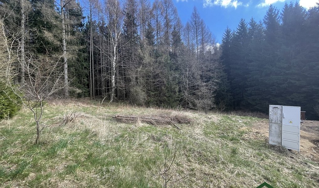 Prodej stavebního pozemku 1 753 m², Gruna – náhled fotky 2