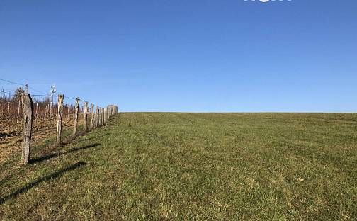 Prodej pole 4 000 m², Medlovice