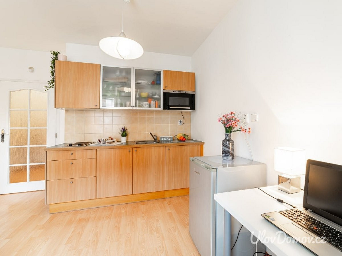 Pronájem bytu 1+kk 33 m² – fotografie 5