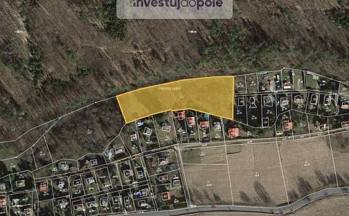 Prodej louky 4 501 m², Hornická, Nový Jáchymov, okres Beroun