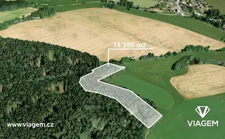 Prodej lesa 3 898 m², Mříčná, okres Semily