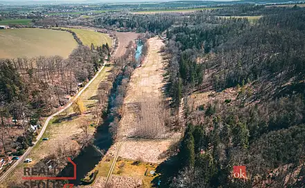 Prodej lesa 4 109 m², Plešnice, okres Plzeň-sever
