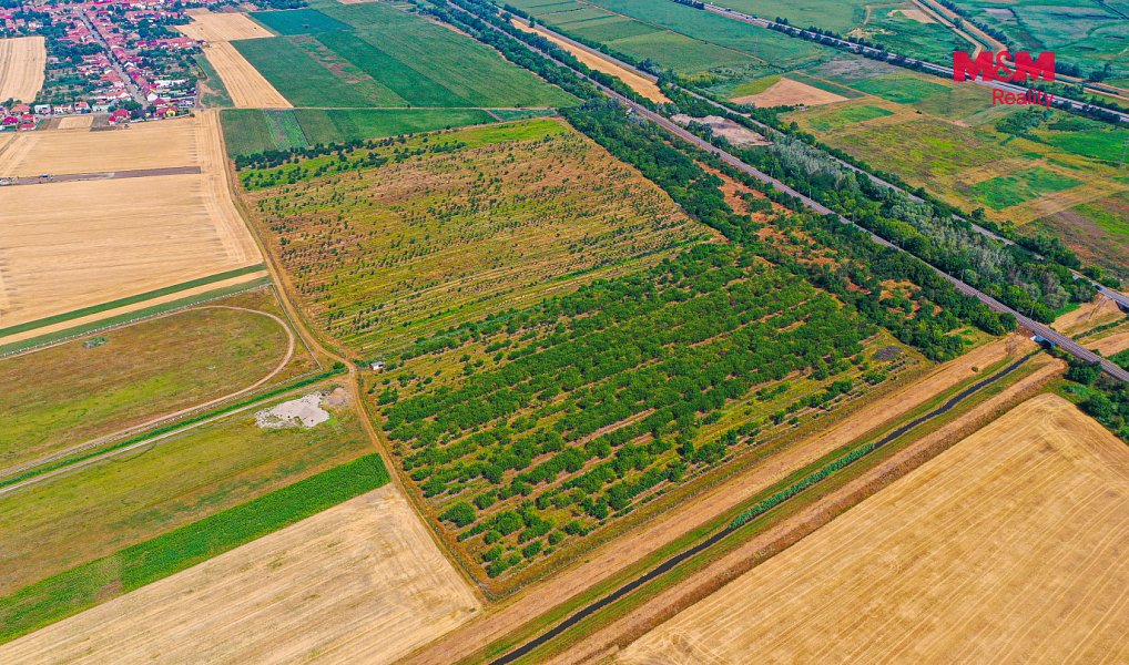 Prodej pole 12 442 m², Rakvice – náhled fotky 6