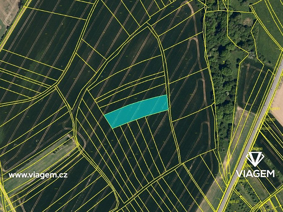 Prodej pole 1 301 m² – fotografie 3