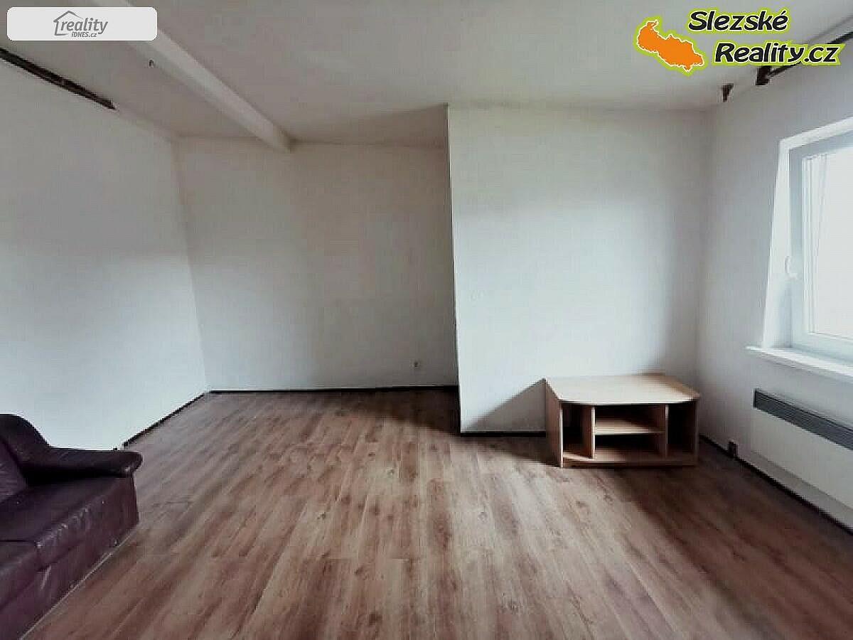 Pronájem bytu 1+1 50 m² - Widok 6