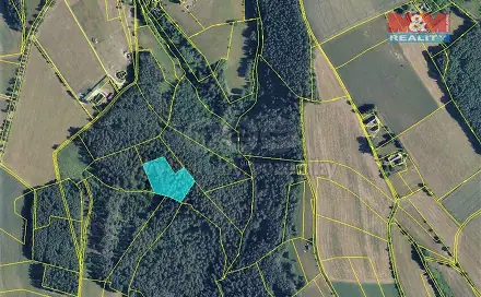 Prodej lesa 6 422 m², Všelibice, okres Liberec