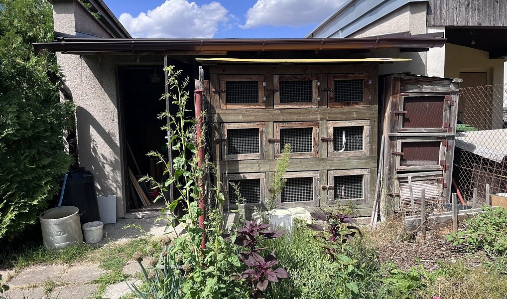 Prodej domu 350 m² s pozemkem 792 m², Veselí nad Lužnicí – náhled fotky 31