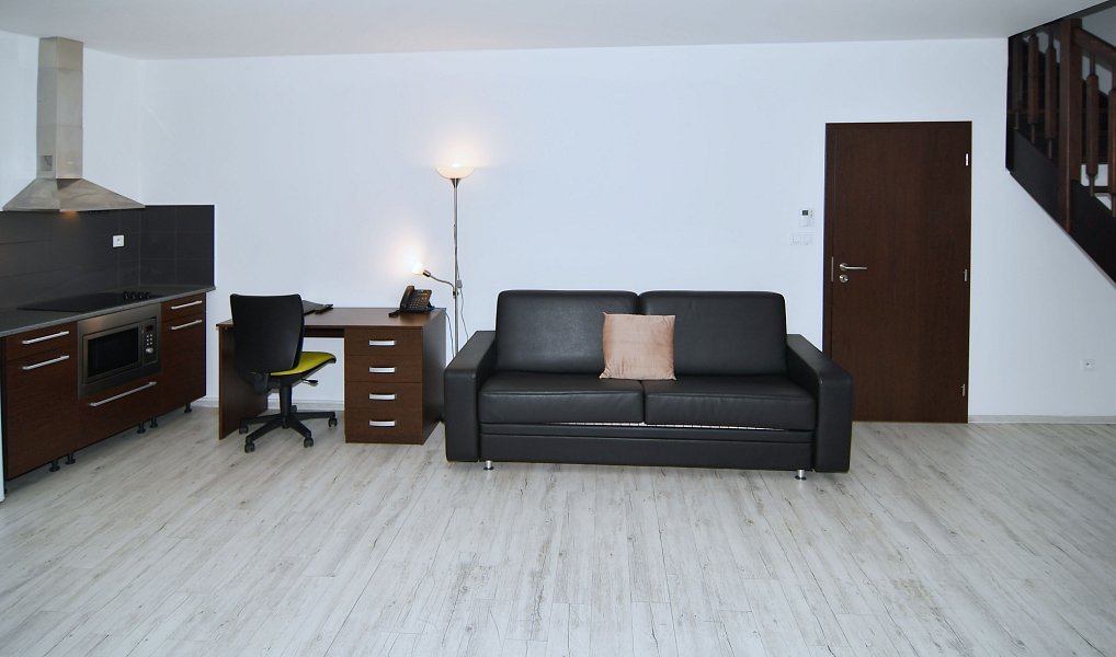 Pronájem bytu 3+kk 162 m², Brno – náhled fotky 4