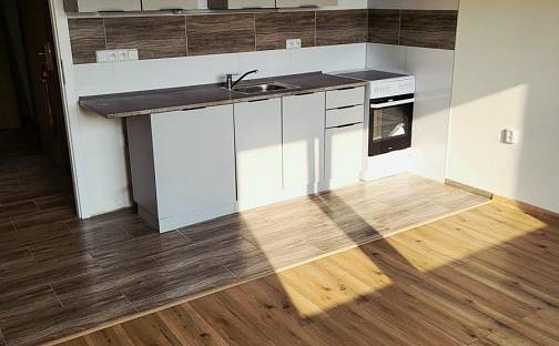 Pronájem bytu 1+1 40 m², V Sídlišti, Děčín - Děčín XXXII-Boletice nad Labem