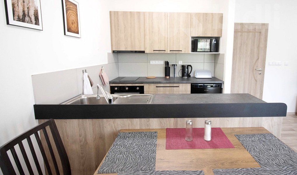 Prodej bytu 2+kk 45 m², Červená Voda – náhled fotky 8