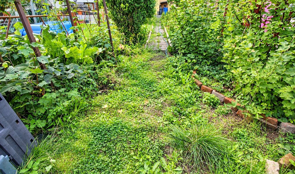 Prodej domu 120 m² s pozemkem 171 m², Chomutov – náhled fotky 41