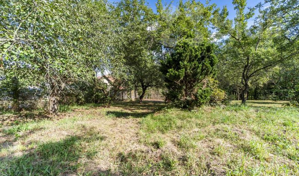 Prodej stavebního pozemku 1 552 m², Davle – náhled fotky 5
