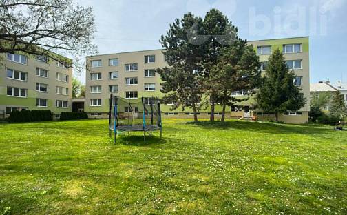 Prodej bytu 2+1 45 m², Českobratrská, Olomouc - Nové Sady