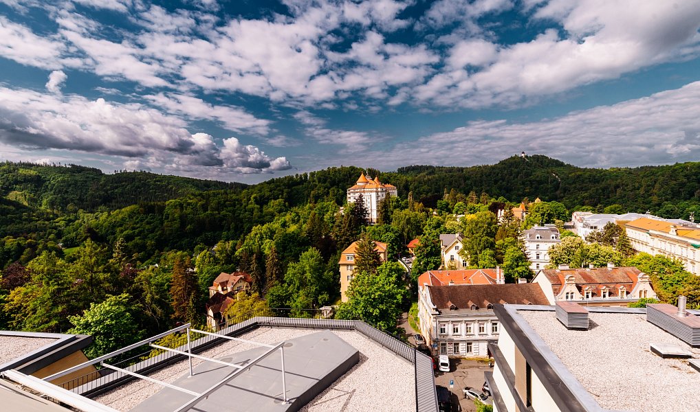 Prodej bytu 4+kk 155 m², Karlovy Vary – náhled fotky 32