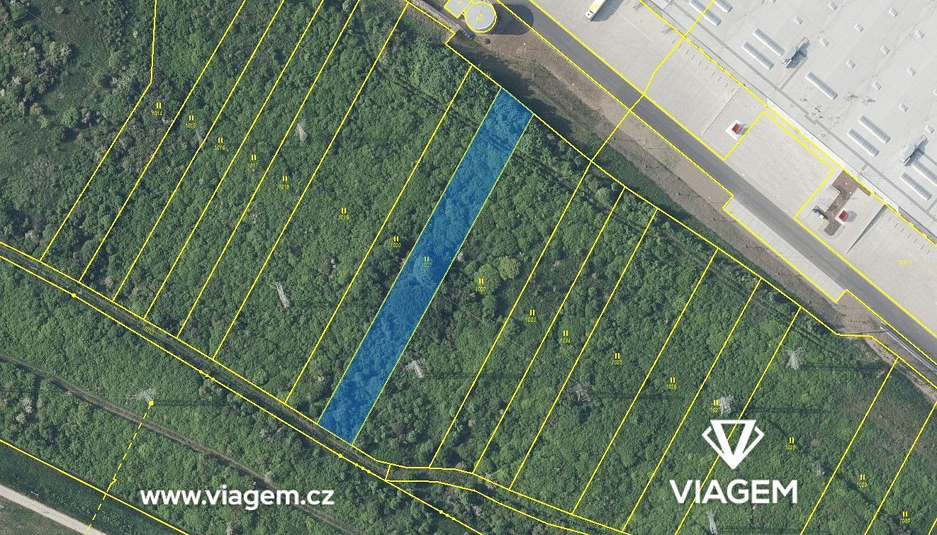 Prodej pole 1 938 m² – fotografie 2