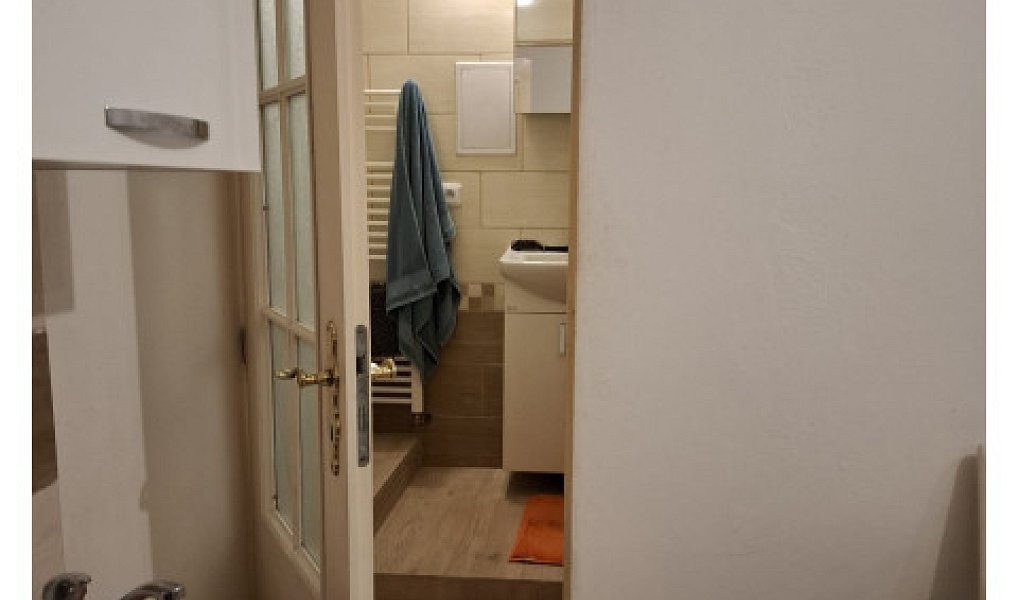 Pronájem bytu 1+kk 25 m², Holubice – náhled fotky 5