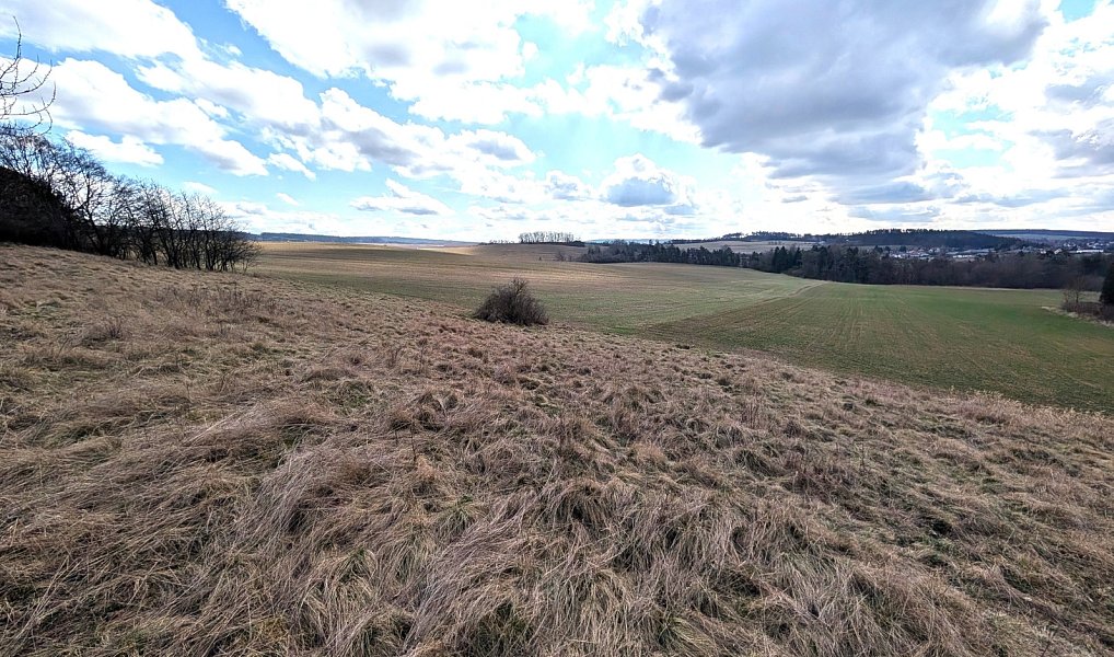 Prodej stavebního pozemku 898 m², Bušovice – náhled fotky 9