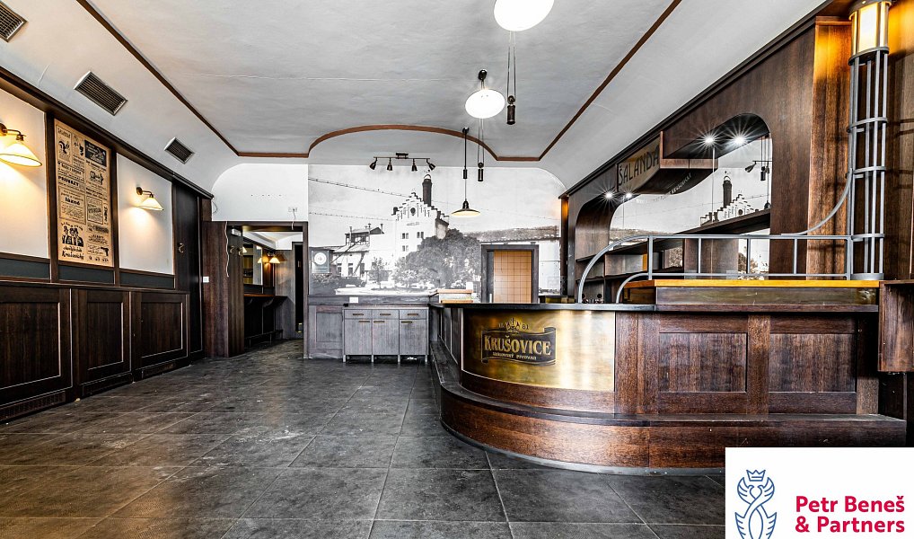 Prodej obchodních prostor 1 100 m², Rakovník – náhled fotky 13