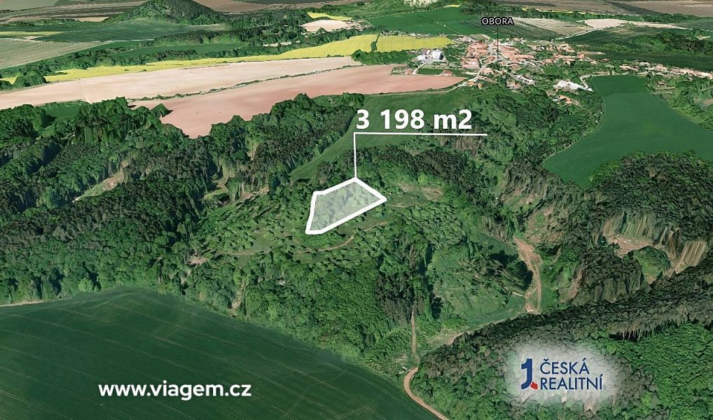 Prodej pole 3 198 m², Obora – náhled fotky 2