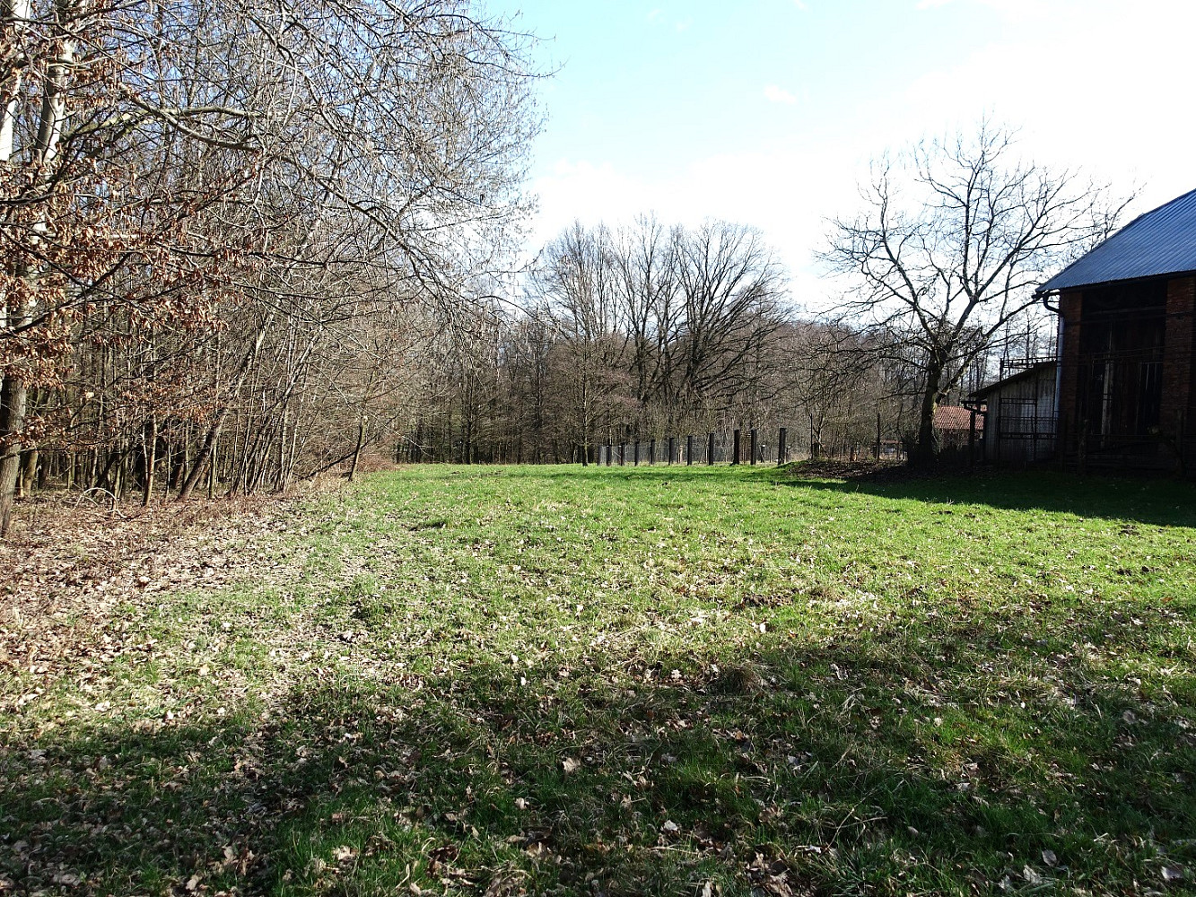 Prodej louky 6 013 m² — photo 5