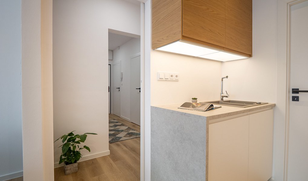 Prodej bytu 3+kk 60 m², Brno – náhled fotky 7