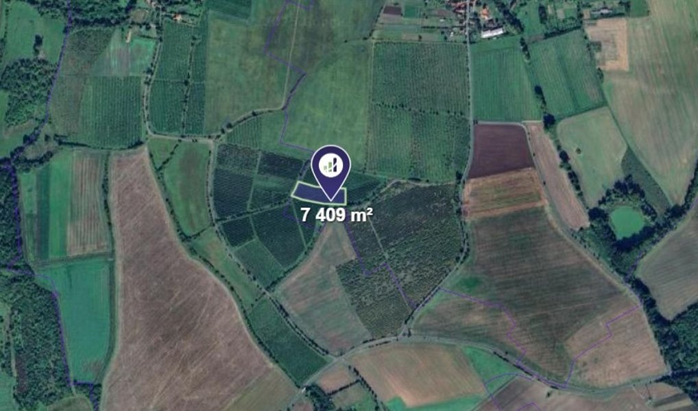 Prodej pole 3 705 m², Liběšice – náhled fotky 2