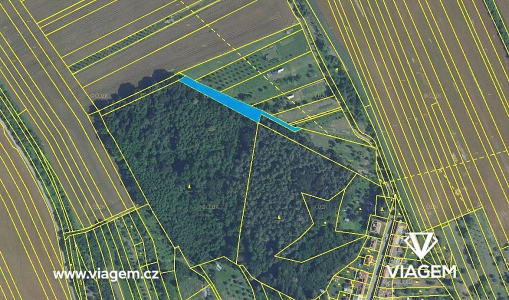 Prodej lesa 446 m², Březolupy – náhled fotky 4