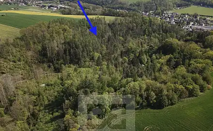 Prodej lesa 4 369 m², Chocerady, okres Benešov