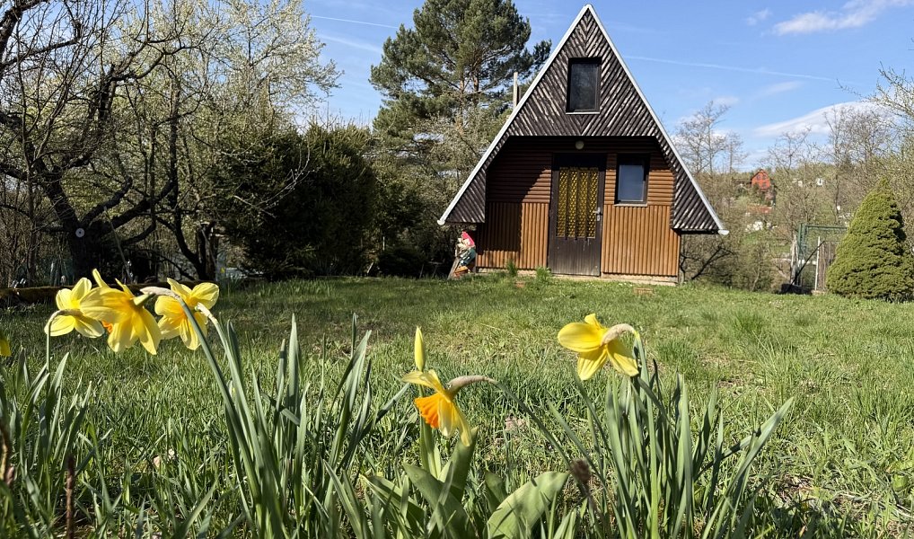 Prodej chaty/chalupy 25 m² s pozemkem 733 m², Uherský Brod – náhled fotky 11