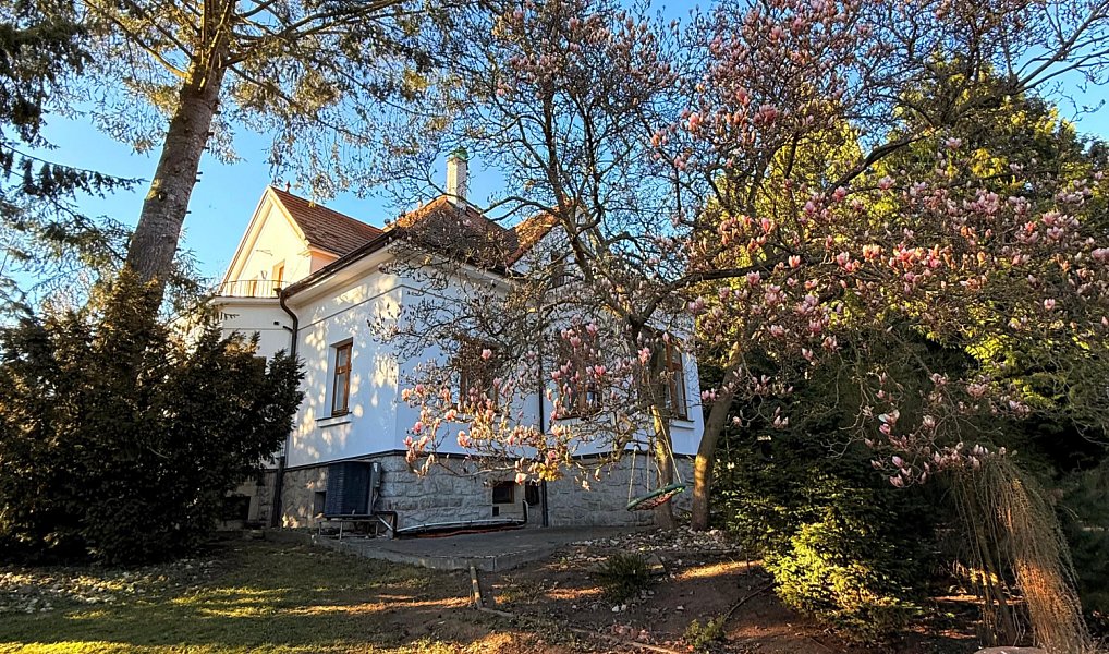Prodej domu 450 m² s pozemkem 1 452 m², Domažlice – náhled fotky 43