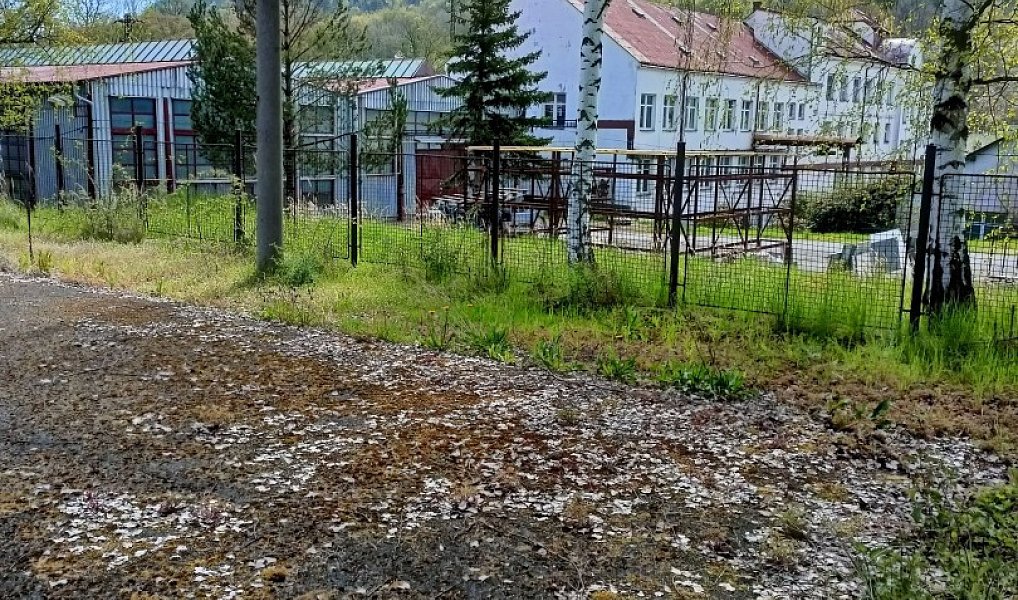 Pronájem komerčního pozemku 727 m², Jílové – náhled fotky 5