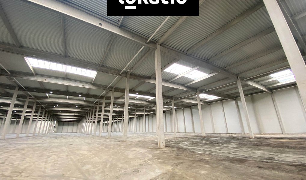 Pronájem skladovacích prostor 9 653 m², Ostrava – náhled fotky 2