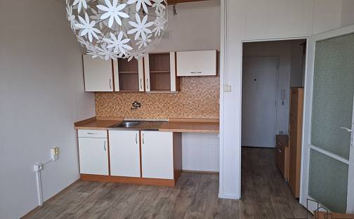 Pronájem bytu 1+kk 20 m², Kamenická, Děčín - Děčín II-Nové Město