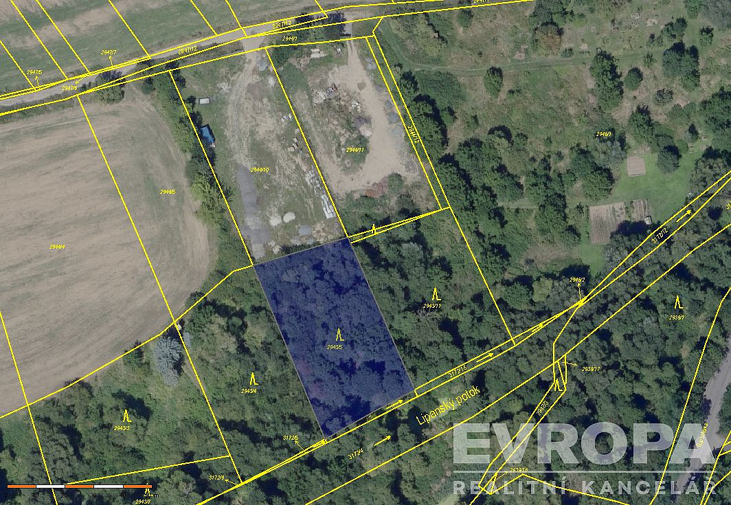 Prodej lesa 2 166 m²