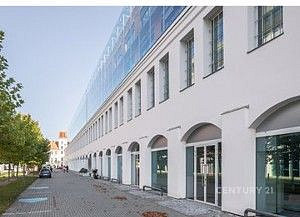 Pronájem kanceláře 416 m² – fotografie 4