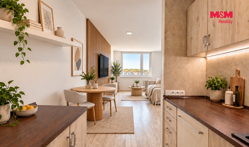 Prodej bytu 2+kk 42 m², Mladá Boleslav – náhled fotky 8