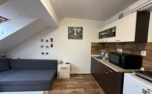 Prodej bytu 1+kk 20 m², Olomoucká, Brno - Černovice