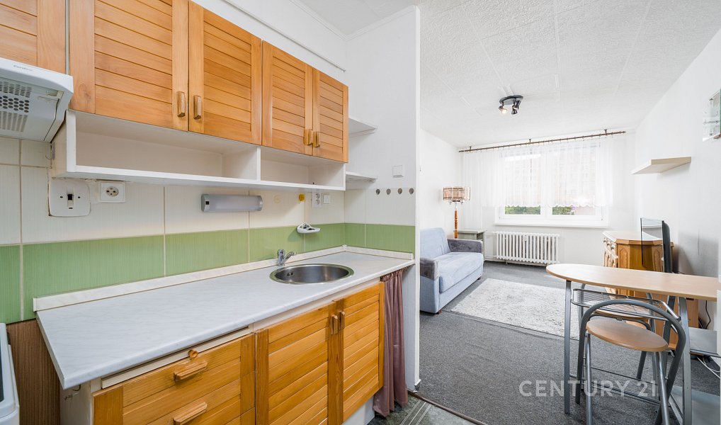 Prodej bytu 2+kk 41 m², Teplice – náhled fotky 11