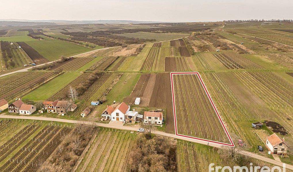 Prodej stavebního pozemku 1 593 m², Moravský Žižkov – náhled fotky 13