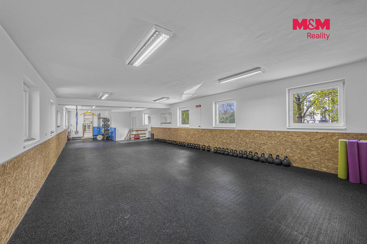 Prodej obchodních prostor 195 m² – fotografie 4