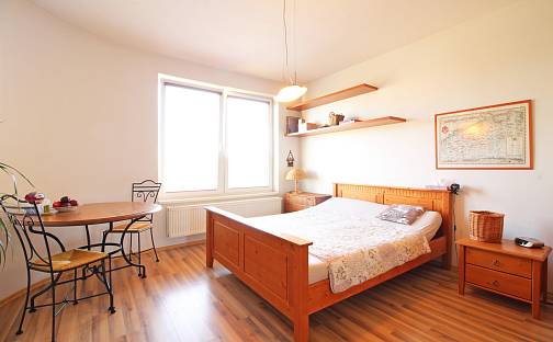 Pronájem bytu 1+kk 38 m², Okružní, Olomouc - Nová Ulice