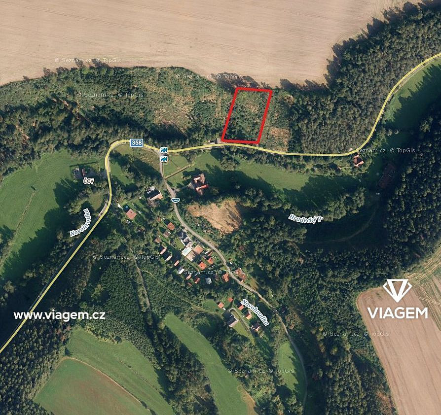 Prodej lesa 3 866 m²
