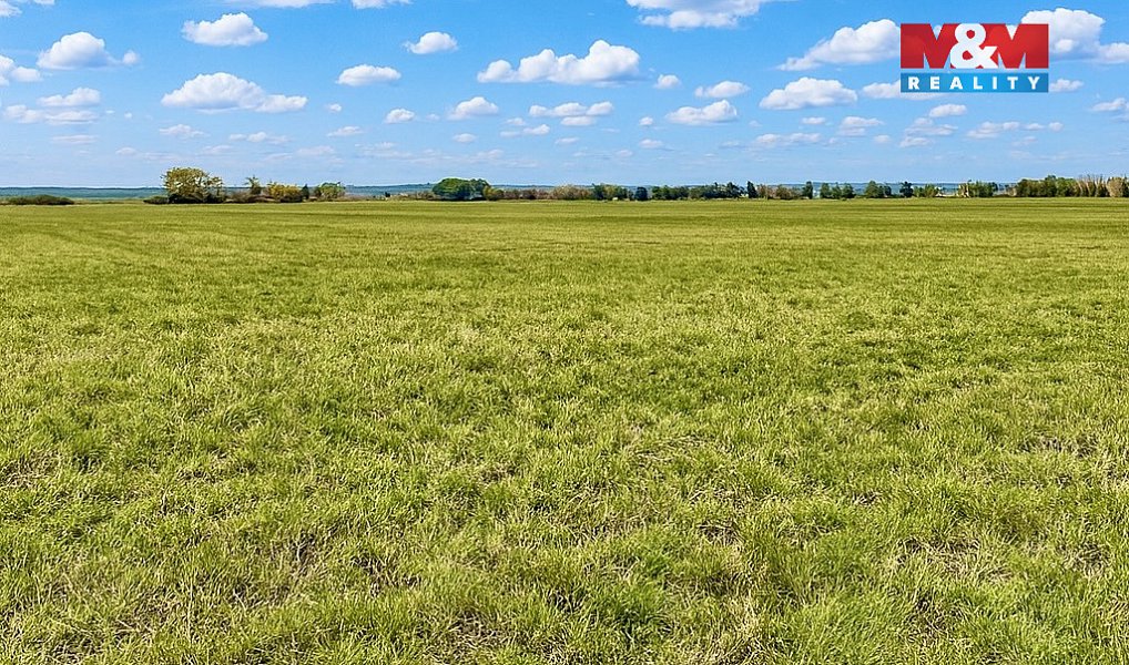 Prodej pole 9 779 m², Dolní Roveň – náhled fotky 2
