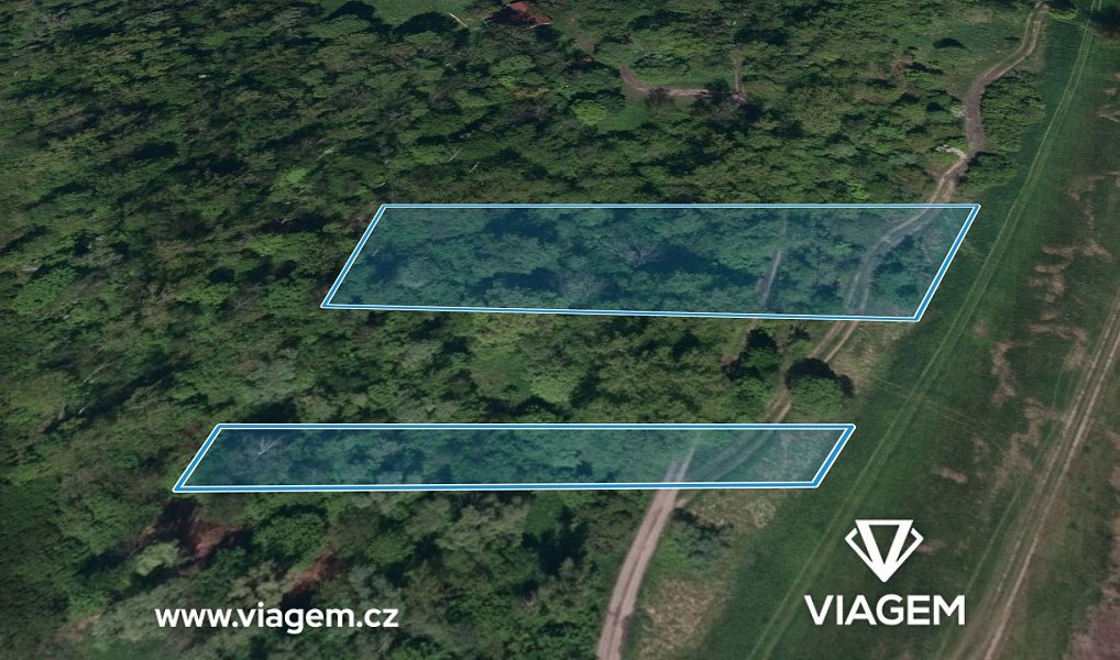 Prodej lesa 1 565 m², Dětmarovice – náhled fotky 4