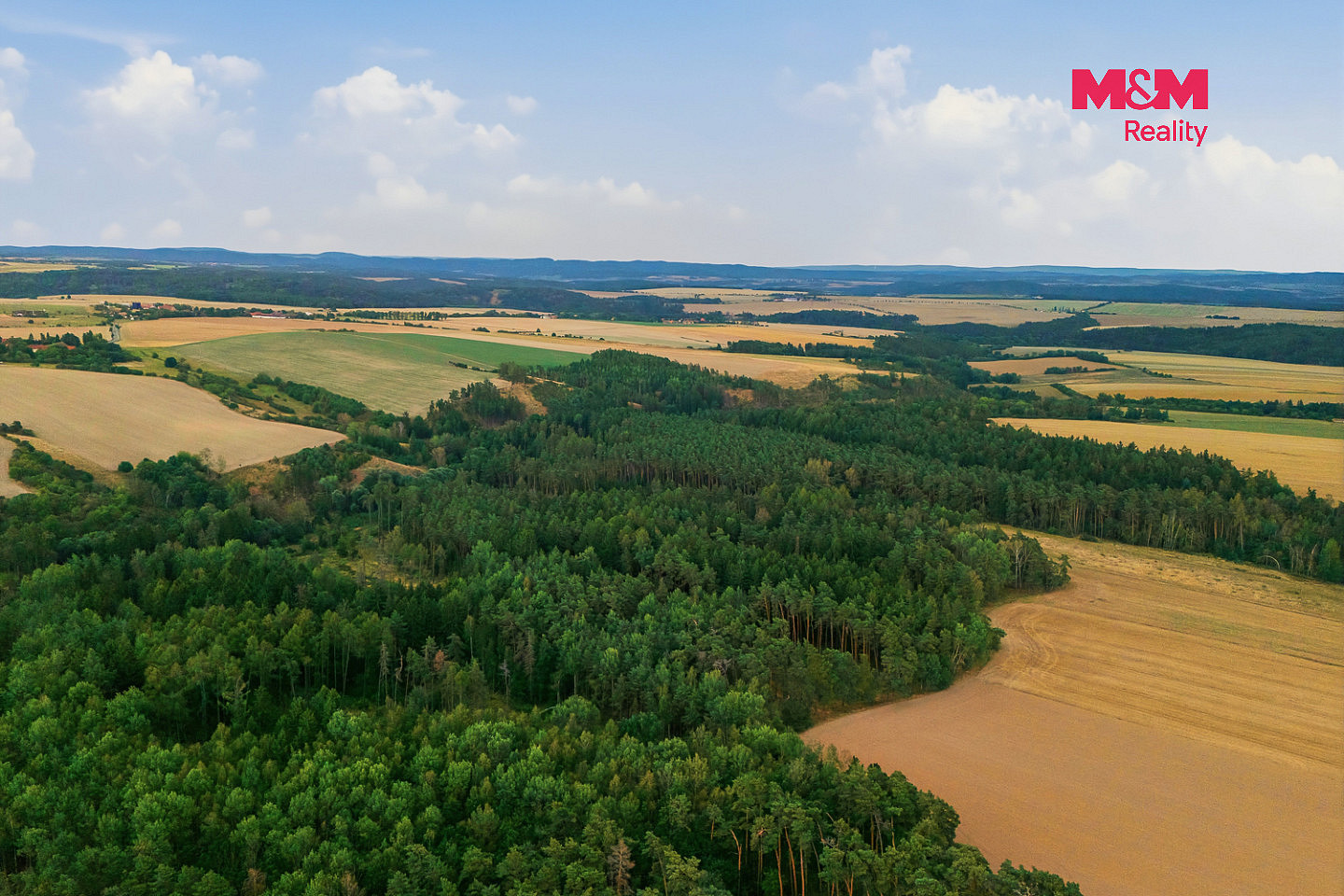 Prodej lesa 3 520 m² – fotografie 3