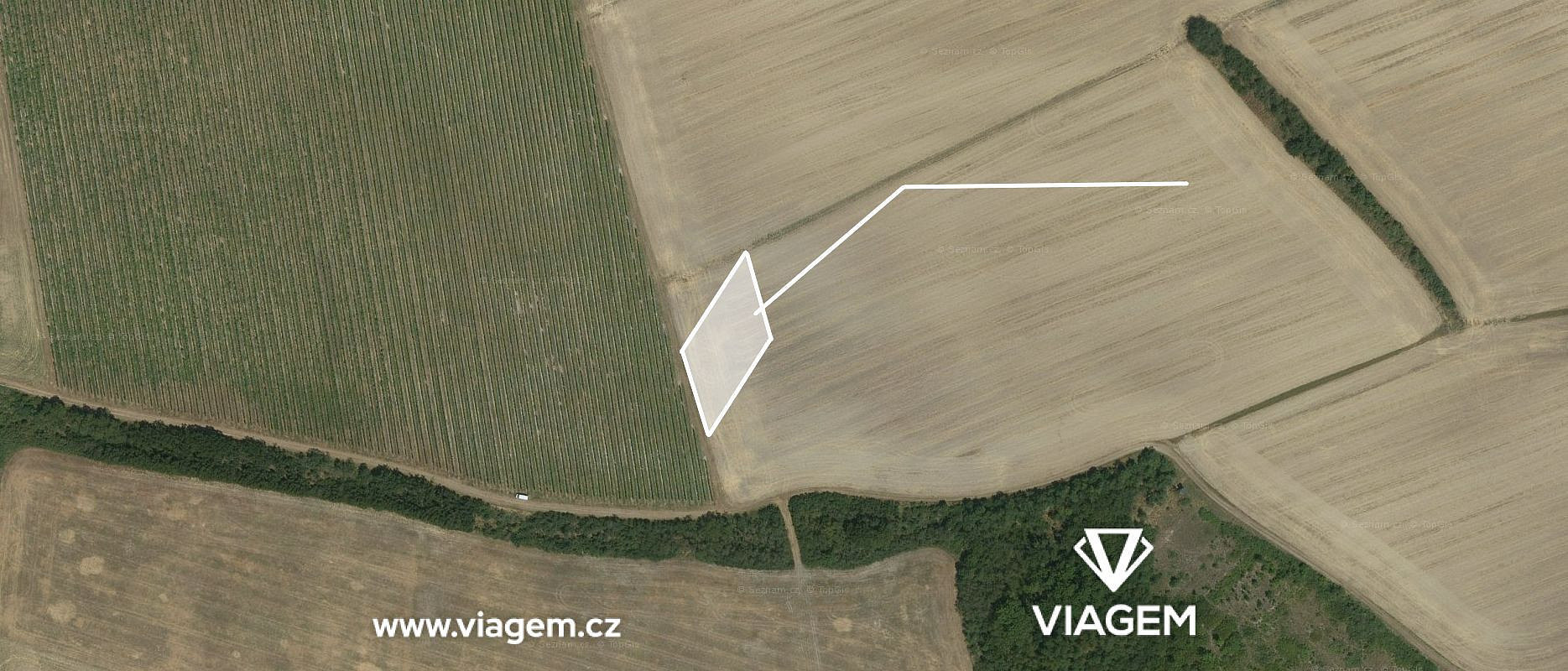 Prodej pole 2 615 m² – fotografie 3
