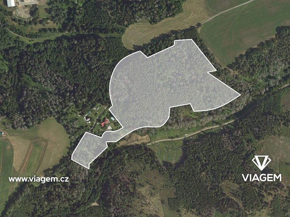 Prodej lesa 1 470 m² – fotografie 2