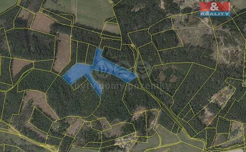 Prodej lesa 22 084 m², Přechovice, okres Strakonice