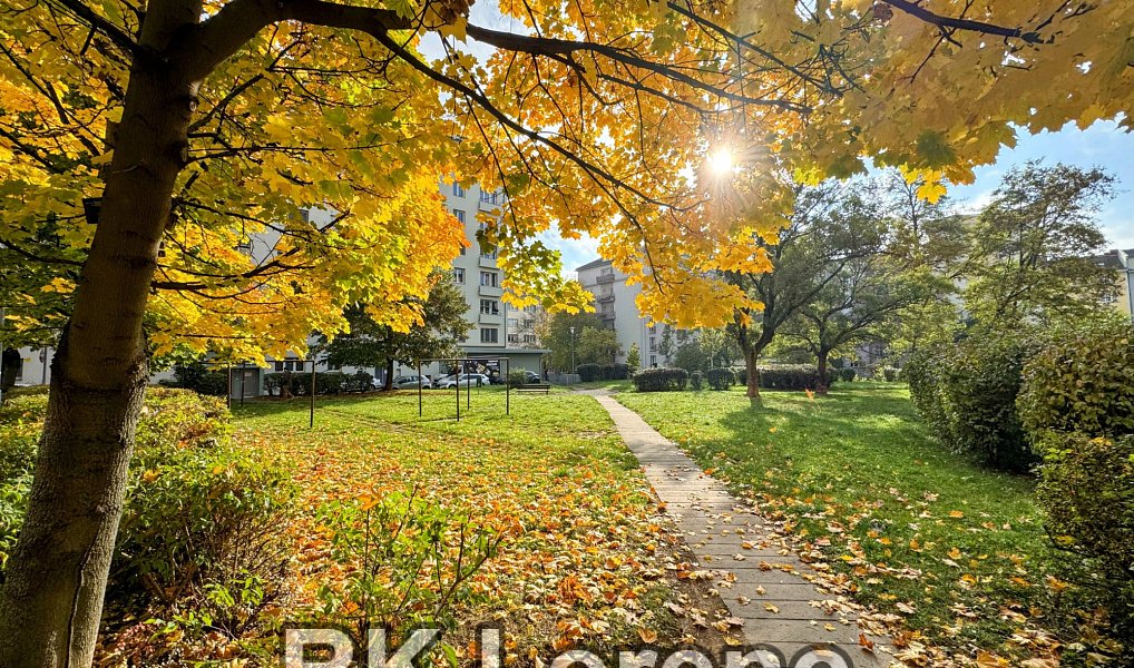Pronájem bytu 2+1 52 m², Brno – náhled fotky 10