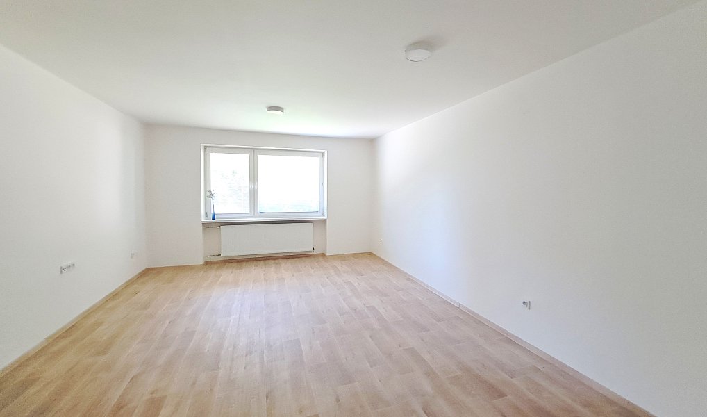 Prodej domu 230 m² s pozemkem 1 280 m², Podhradí – náhled fotky 7